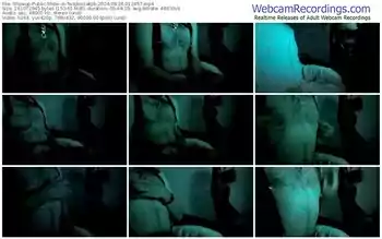 showup-twojkociakzb-08-26-2024-01-24-57