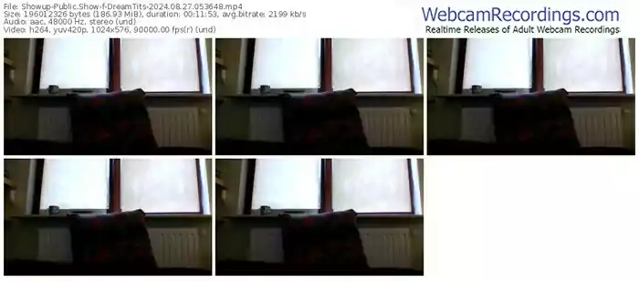 showup-dreamtits-08-27-2024-05-36-48