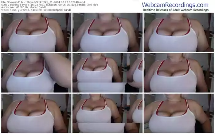 showup-stokrotka_31-08-28-2024-00-29-48