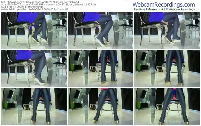 showup-trans-anita-08-28-2024-04-37-13