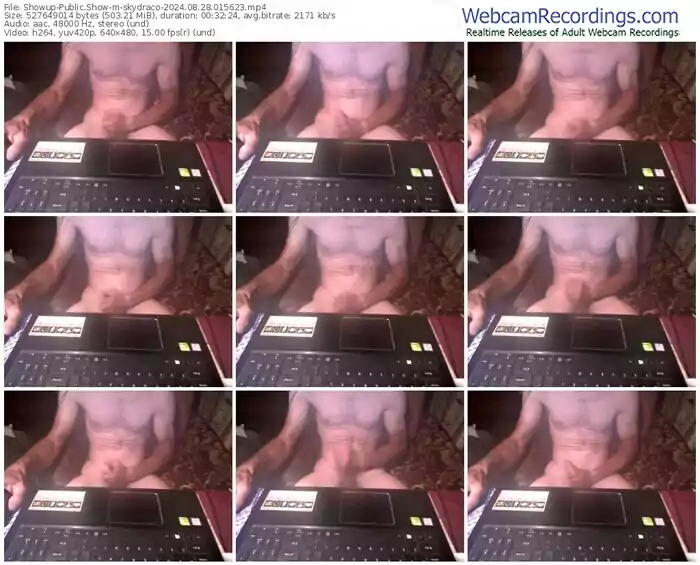 showup-skydraco-08-28-2024-01-56-23