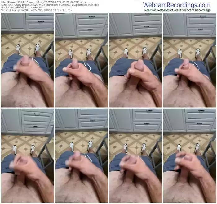 showup-maly230788-08-29-2024-00-03-11