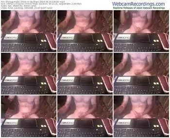 showup-skydraco-08-29-2024-02-43-07