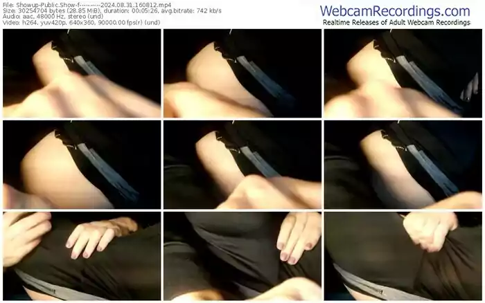 showup----------08-31-2024-16-08-12