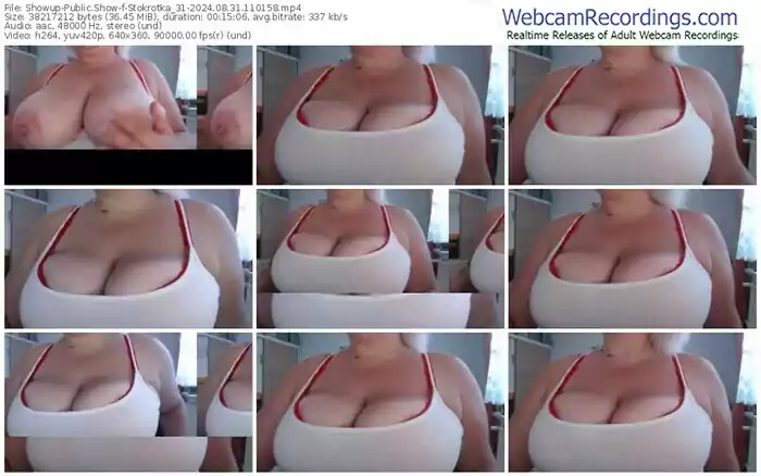 showup-stokrotka_31-08-31-2024-11-01-58