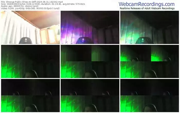 showup-stiff-08-31-2024-19-23-42