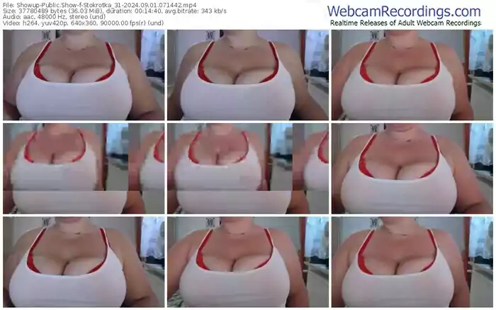 showup-stokrotka_31-09-01-2024-07-14-42