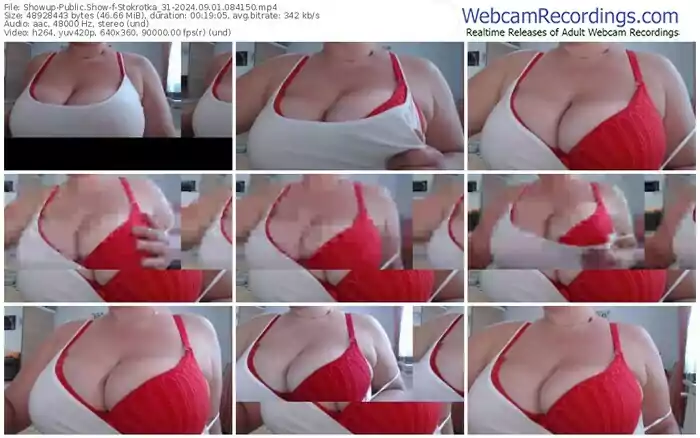 showup-stokrotka_31-09-01-2024-08-41-50