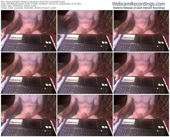 showup-skydraco-09-02-2024-02-44-50