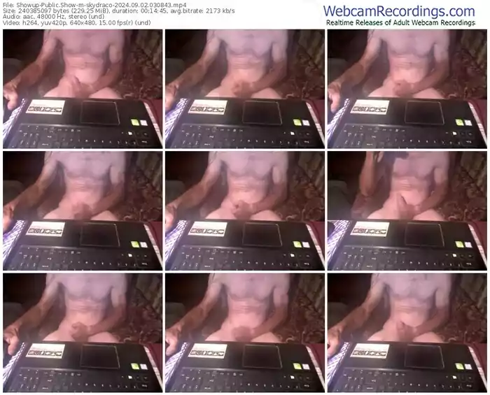 showup-skydraco-09-02-2024-03-08-43