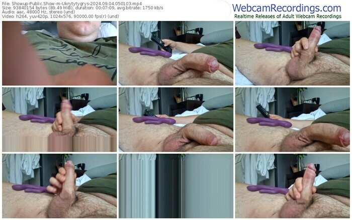 showup-ukrytytygrys-09-04-2024-05-01-03