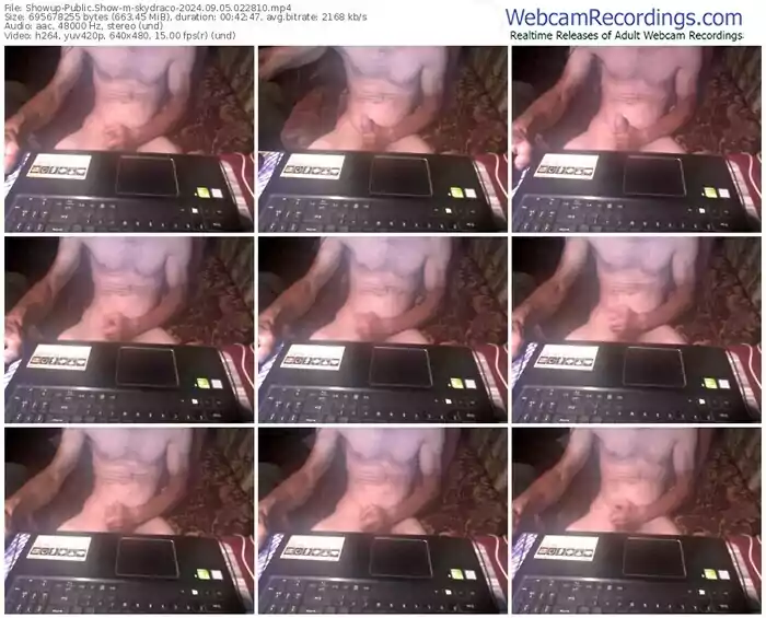 showup-skydraco-09-05-2024-02-28-10