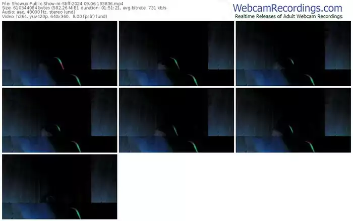 showup-stiff-09-06-2024-19-38-36