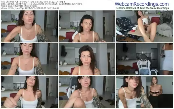 showup-_two_cat-09-07-2024-12-19-44