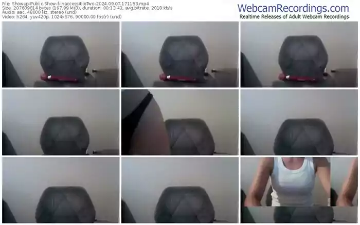 showup-inaccessibletwo-09-07-2024-17-11-53