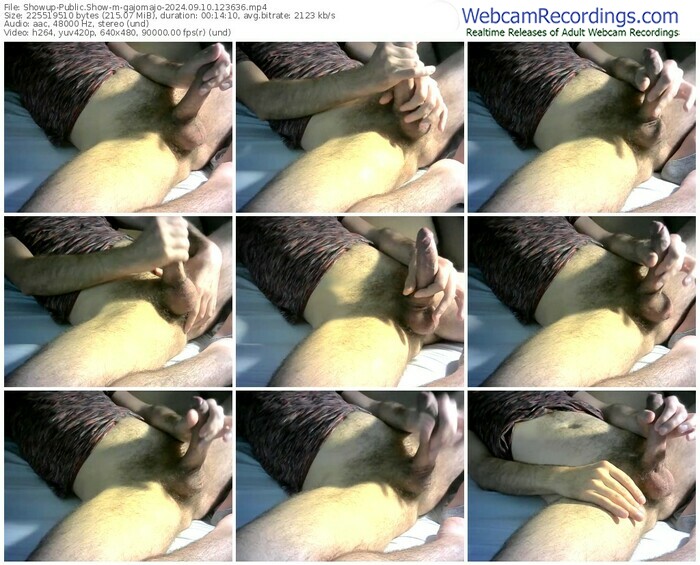 showup-gajomajo-09-10-2024-12-36-36