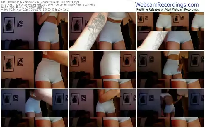 showup-mini_mouse-09-11-2024-17-21-14