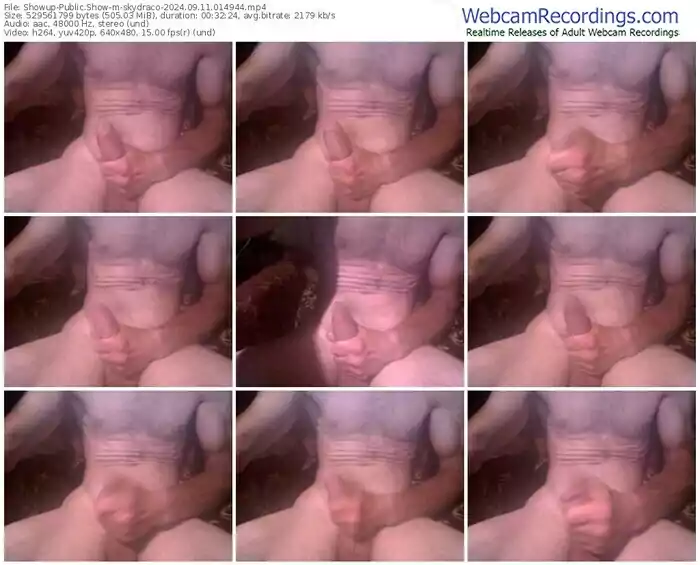 showup-skydraco-09-11-2024-01-49-44