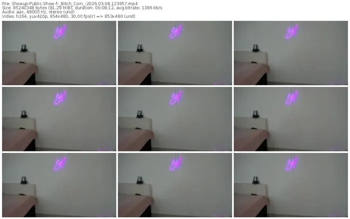 showup-_bitch_coin_-03-08-2026-12-39-57