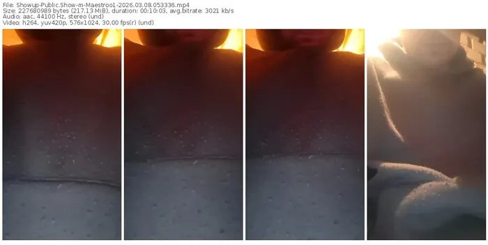 showup-maestroo1-03-08-2026-05-33-36