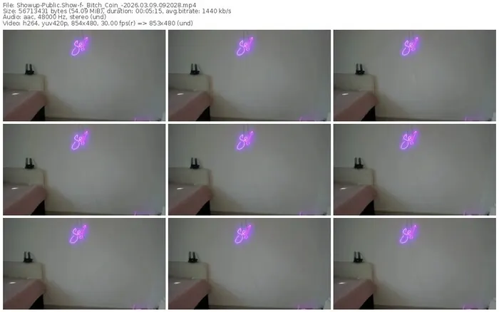 showup-_bitch_coin_-03-09-2026-09-20-28