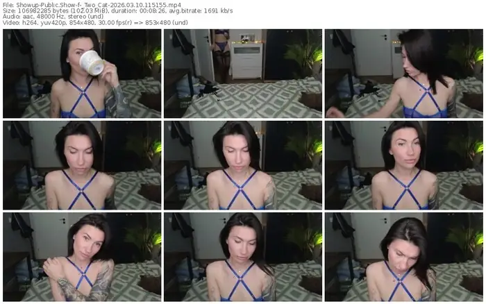 showup-_two_cat-03-10-2026-11-51-55