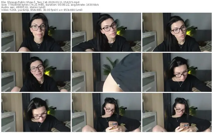 showup-_two_cat-03-11-2026-15-42-15
