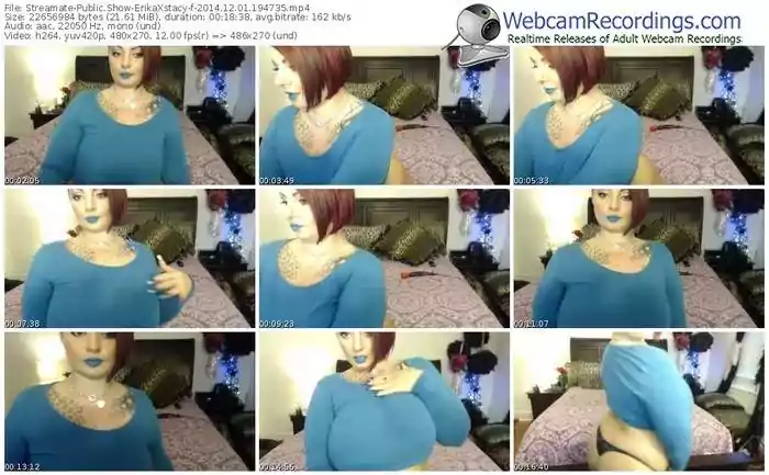 streamate-erikaxstacy-public-show-12_01_2014-19_47_35