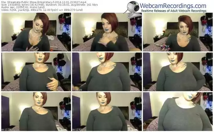 streamate-erikaxstacy-public-show-12_01_2014-21_39_27