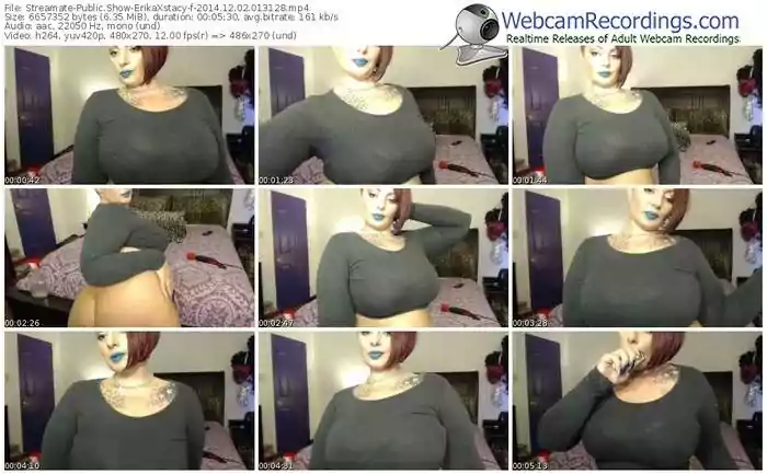 streamate-erikaxstacy-public-show-12_02_2014-01_31_28