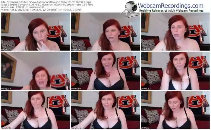 streamate-passionateflower-public-show-12_02_2014-20_33_23