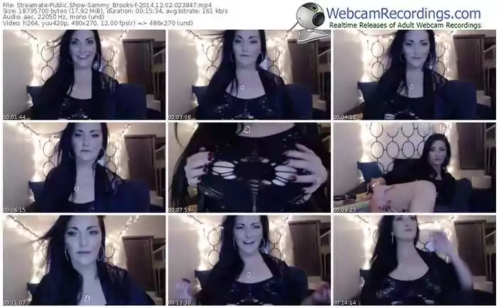 streamate-sammy_brooks-public-show-12_02_2014-02_38_47