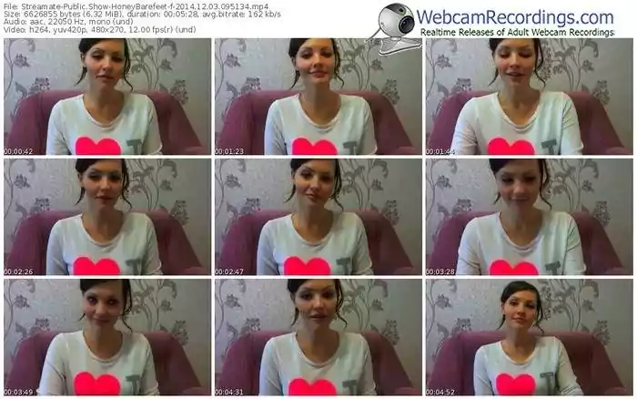 streamate-honeybarefeet-public-show-12_03_2014-09_51_34