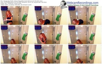 streamate-naughtycoral-webcam-show-12_22_2015-01_10_41