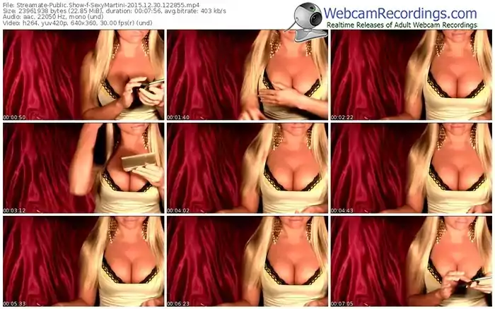 streamate-sexymartini-webcam-show-12_30_2015-12_28_55