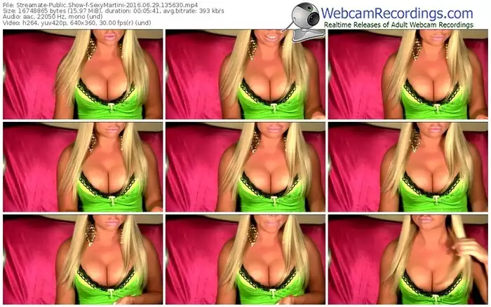 streamate-sexymartini-webcam-show-06_29_2016-13_56_30
