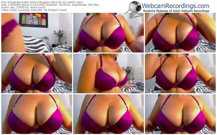 streamate-briggite-webcam-show-06_30_2016-14_46_51