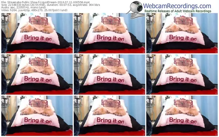 streamate-liquiddream-webcam-show-07_11_2016-00_05_58