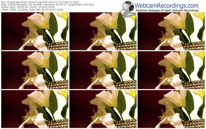 streamate-lanavip-webcam-show-07_31_2016-23_01_21