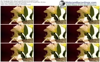 streamate-lanavip-webcam-show-07_31_2016-23_21_15