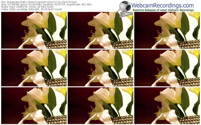 streamate-lanavip-webcam-show-07_31_2016-23_21_15