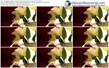 streamate-lanavip-webcam-show-07_31_2016-23_31_15