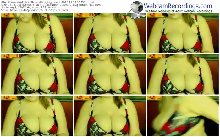 streamate-nina_big_boobs-webcam-show-11_19_2016-17_45_01