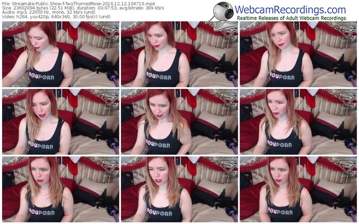 streamate-twothornedrose-webcam-show-12_12_2016-10_47_13
