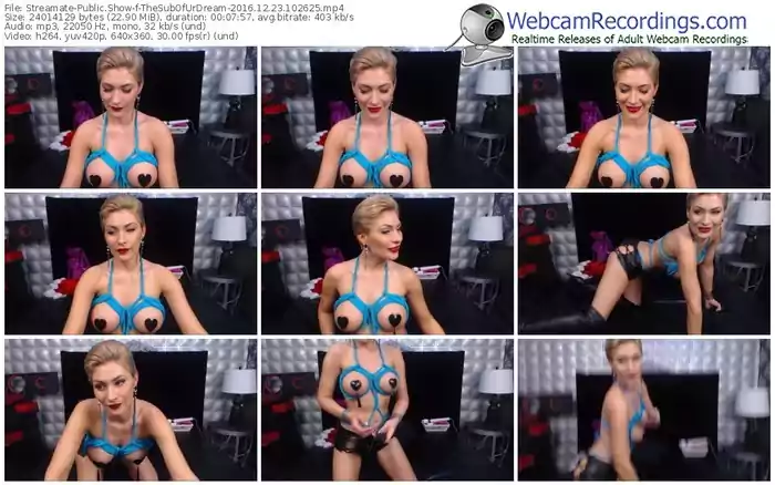 streamate-thesubofurdream-webcam-show-12_23_2016-10_26_25