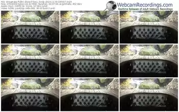 streamate-sexy_sindy-webcam-show-12_30_2016-19_59_17