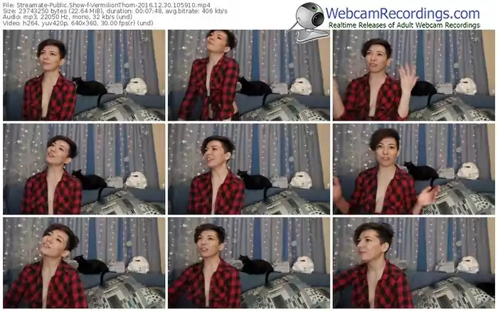 streamate-vermilionthorn-webcam-show-12_30_2016-10_59_10