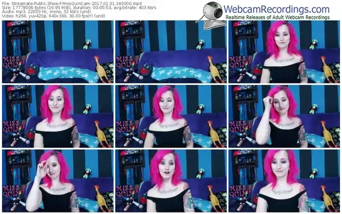 streamate-missquincam-webcam-show-01_01_2017-16_00_00