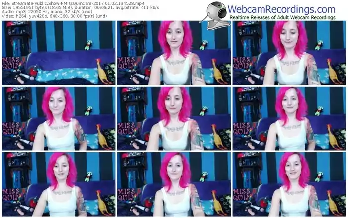 streamate-missquincam-webcam-show-01_02_2017-13_45_28