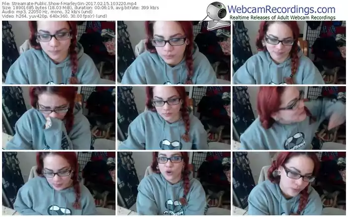 streamate-harleygin-webcam-show-02_15_2017-10_32_20